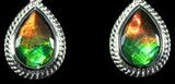 Gorgeous Ammolite Earrings with Sterling Silver #143578-1